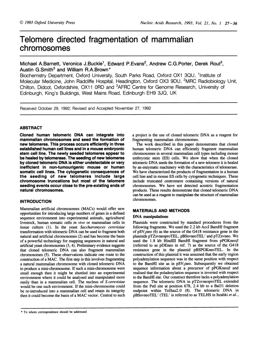 PDF) Telomere directed fragmentation of mammalian chromosomes