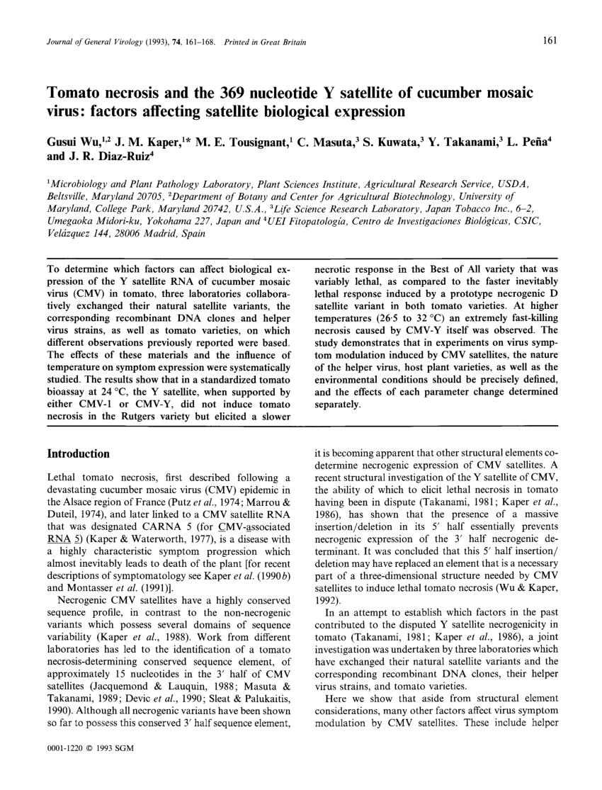 Pdf Tomato Necrosis And The 369 Nucleotide Y Satellite Of Cucumber Mosaic Virus Factors Affecting Satellite Biological Expression