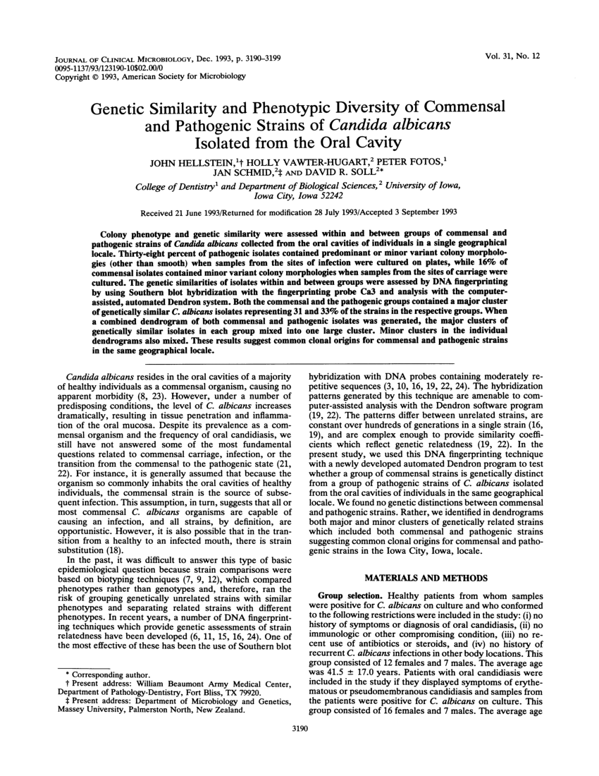 Pdf Genetic Similarity And Phenotypic Diversity Of Commensal And Pathogenic Strains Of Candida 