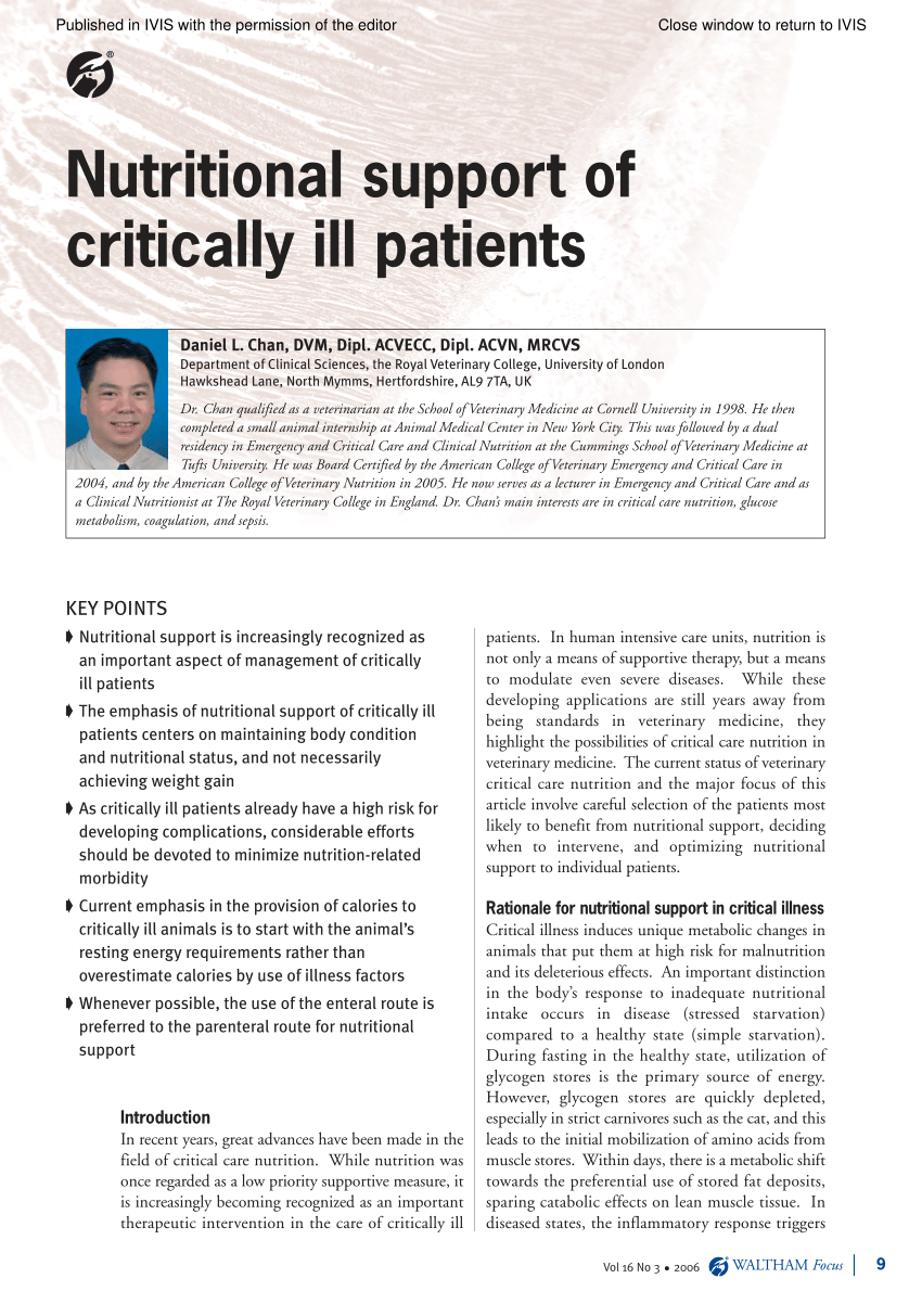 Pdf Nutritional Support For Critically Ill Patients