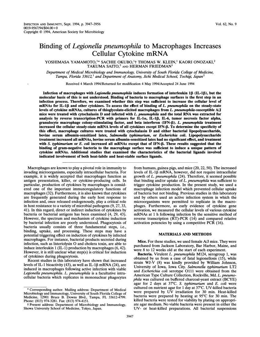 Pdf Binding Of Legionella Pneumophila To Macrophages Increases Cellular Cytokine Mrna 8231