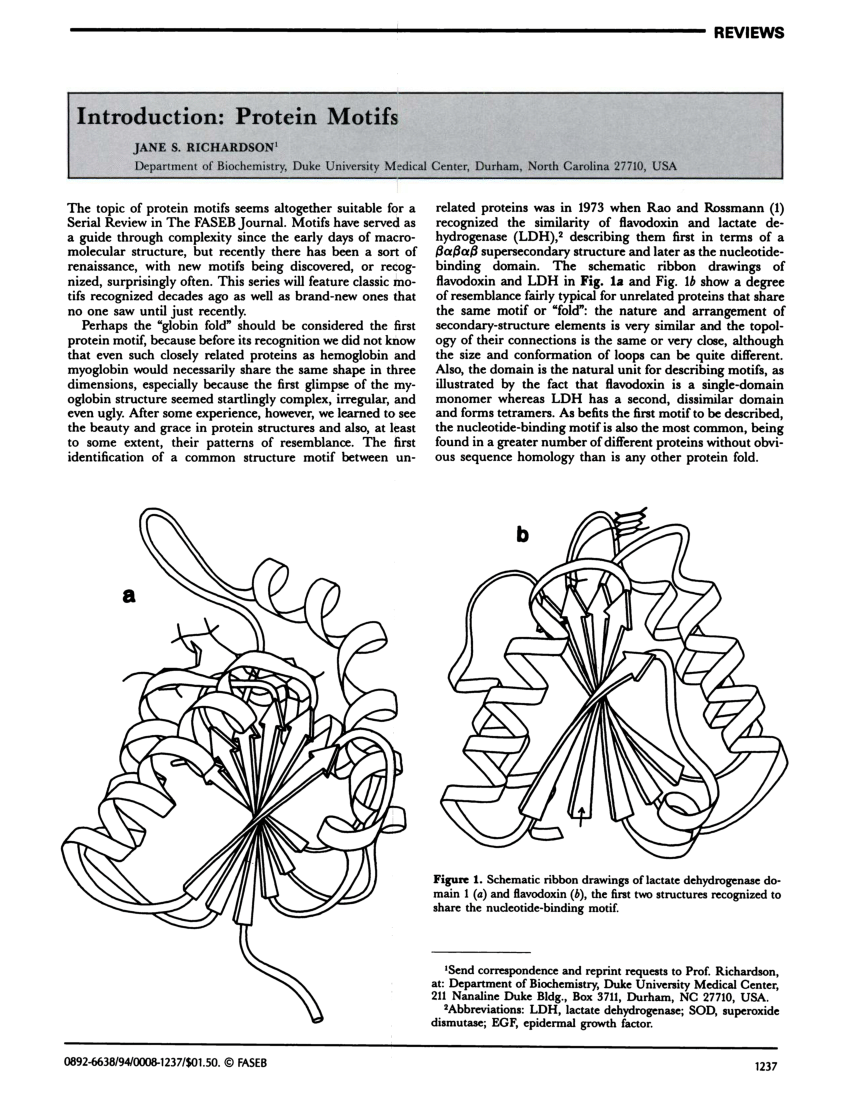 List Of Protein Motifs