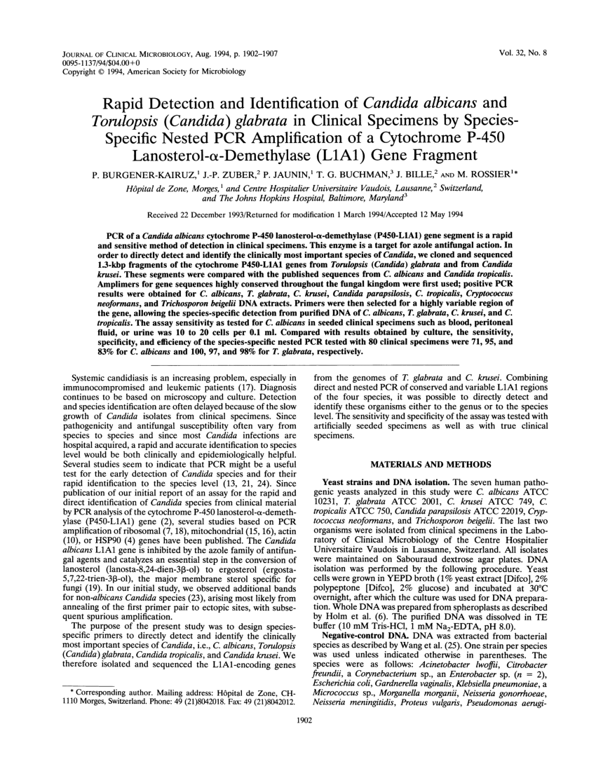 Pdf Rapid Detection And Identification Of Candida Albicans And Torulopsis Candida Glabrata 