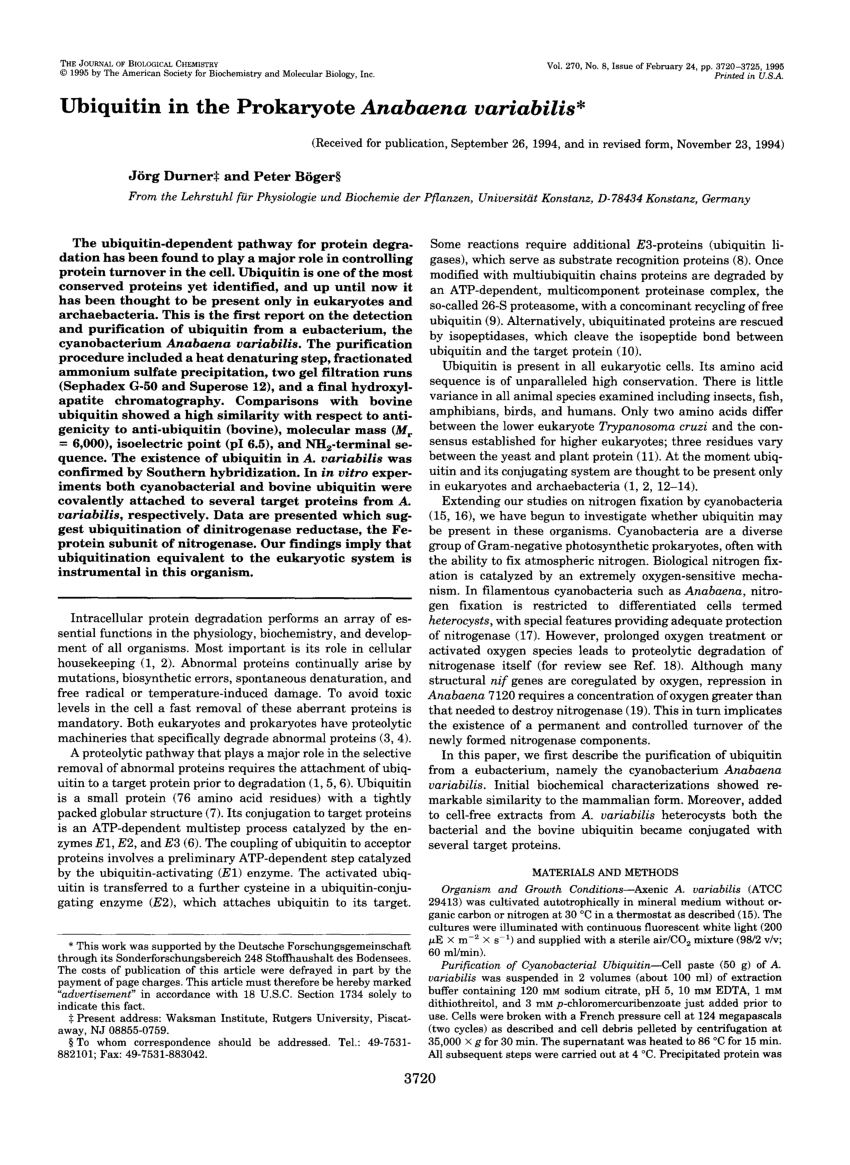 (PDF) Ubiquitin in the Prokaryote Anabaena variabilis