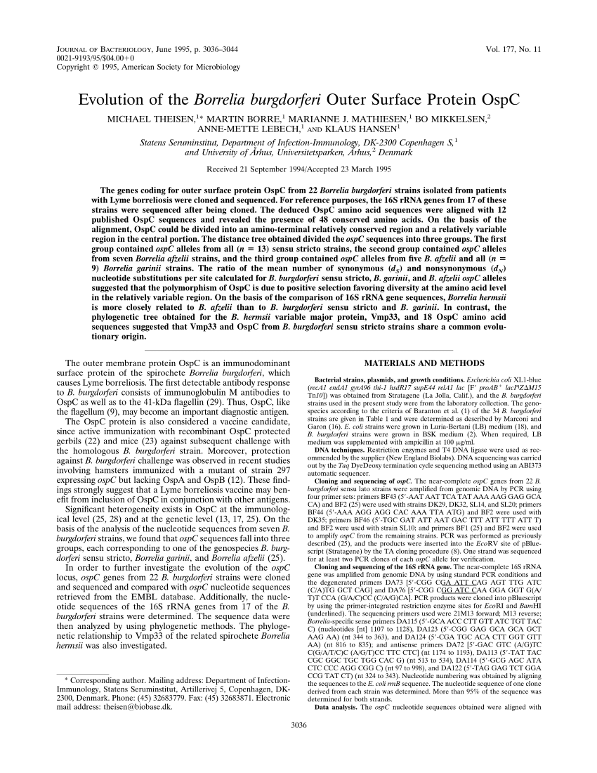 Pdf Evolution Of The Borrelia Burgdorferi Outer Surface Protein Ospc 3657