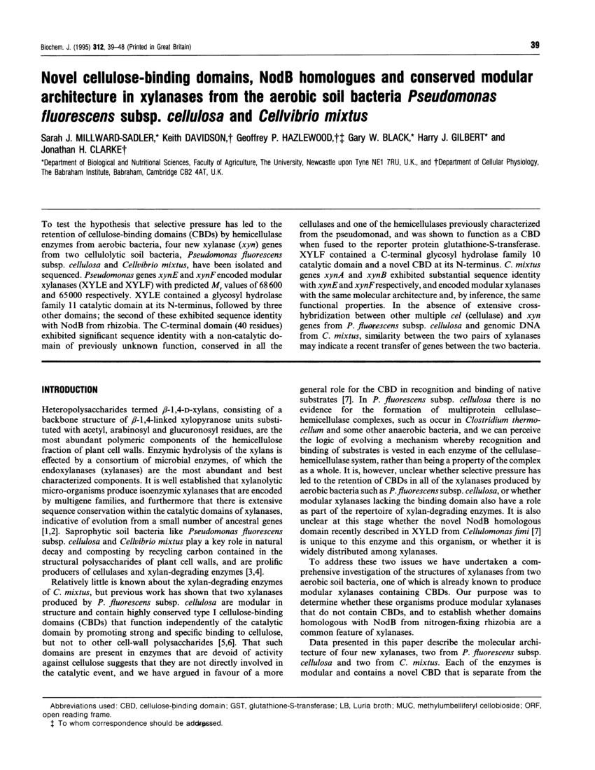 Customized 312-39 Lab Simulation