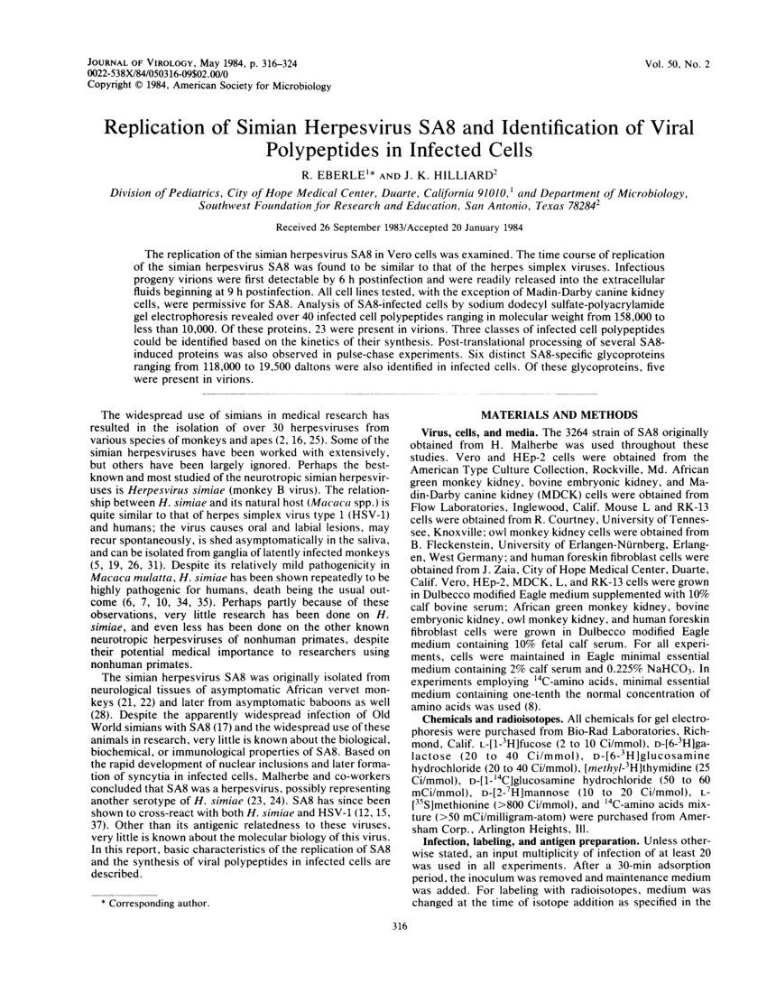 (PDF) Replication of simian herpes virus SA8 and identification of