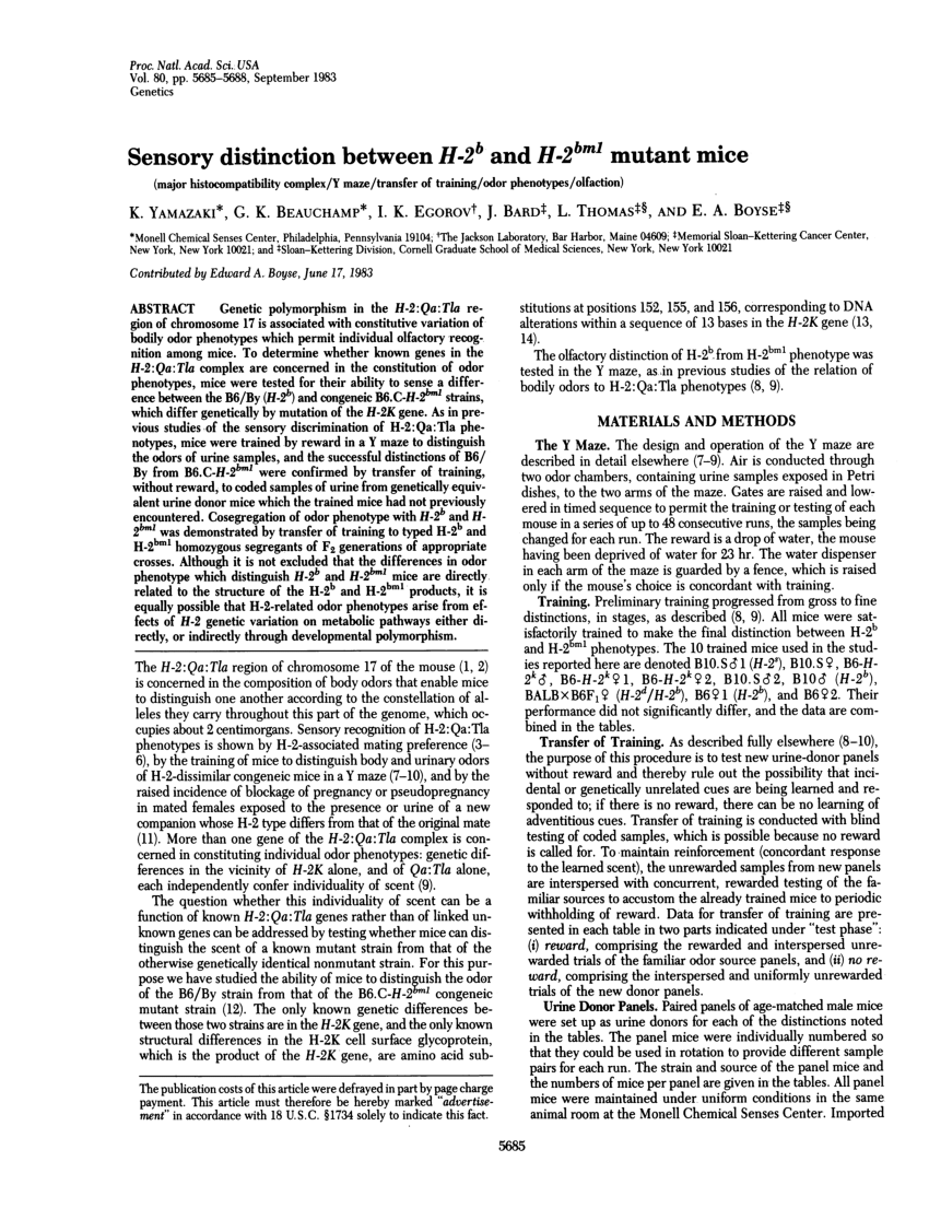 PDF Sensory distinction between H 2b and H 2bm1 mutant mice