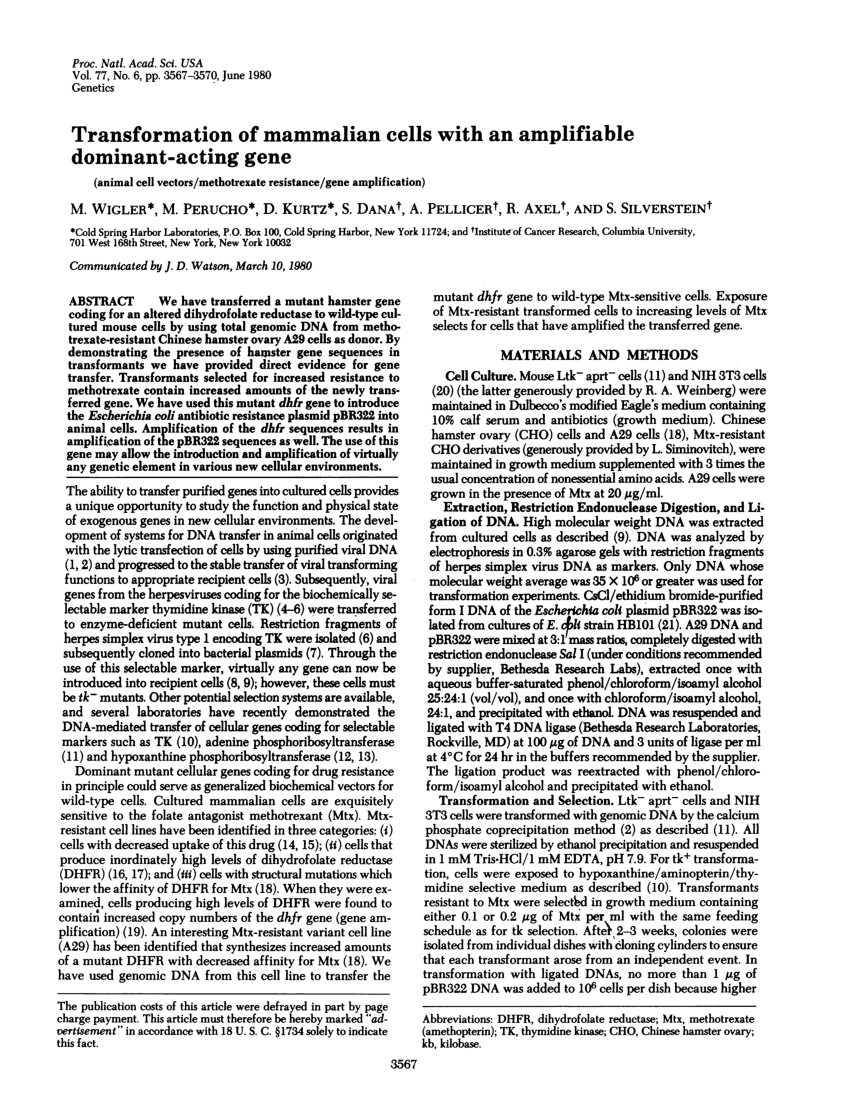 (PDF) Transformation of mammalian cells with an amplifiable dominant