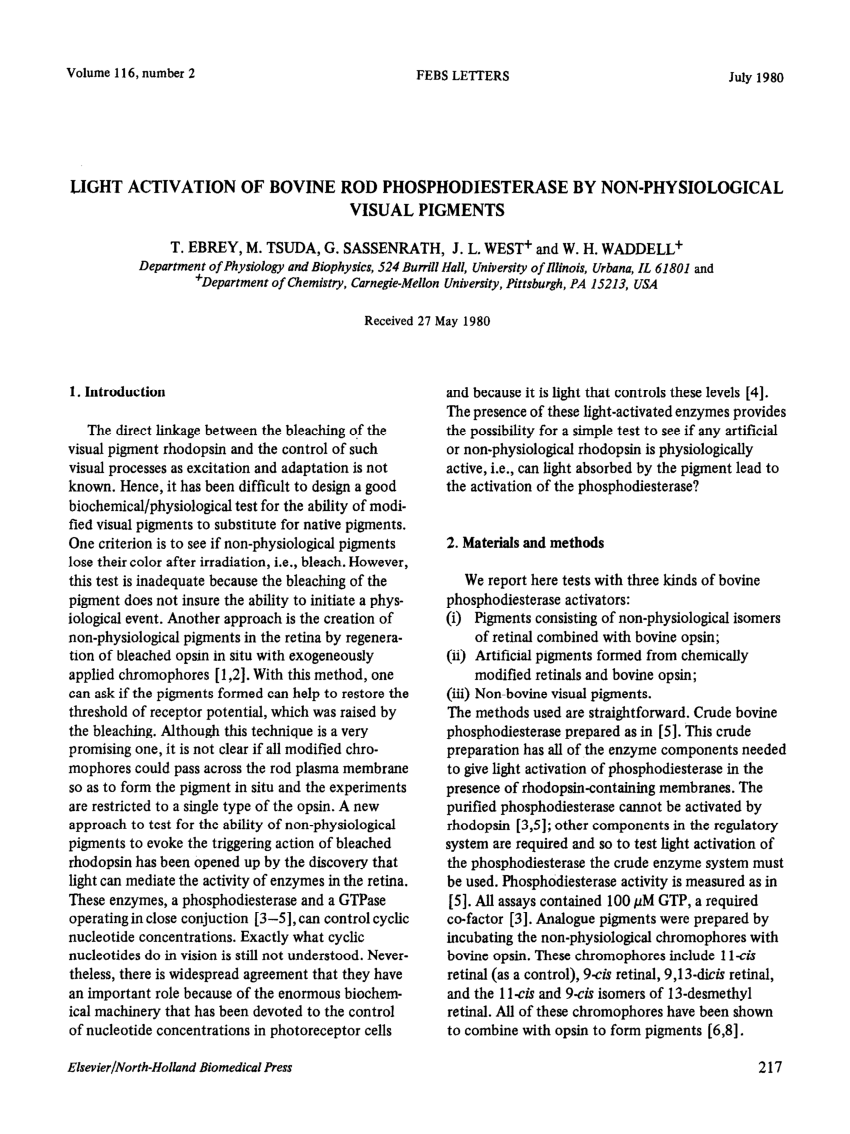 (PDF) Light activation of bovine rod phosphodiesterase by non