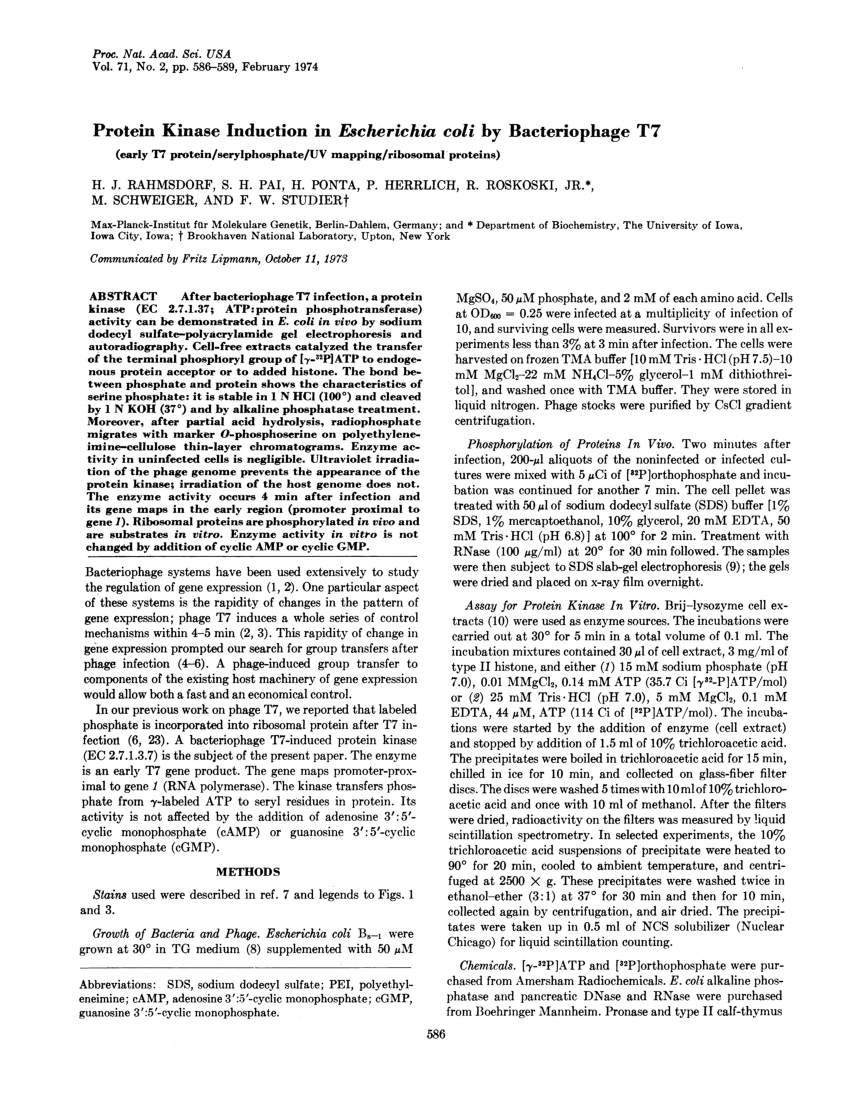 Pdf Protein Kinase Induction In Escherichia Coli By Bacteriophage T7