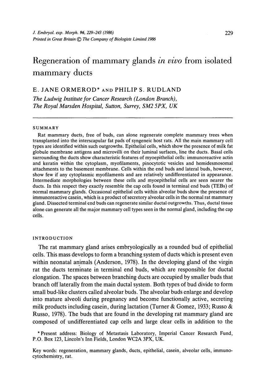 (PDF) Regeneration of mammary glands in vivo from isolated mammary ducts