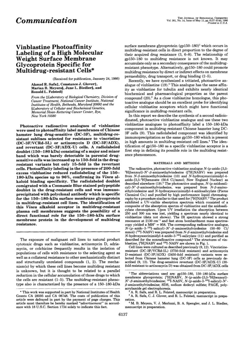 (PDF) Vinblastine photoaffinity labeling of a highMolecularWeight