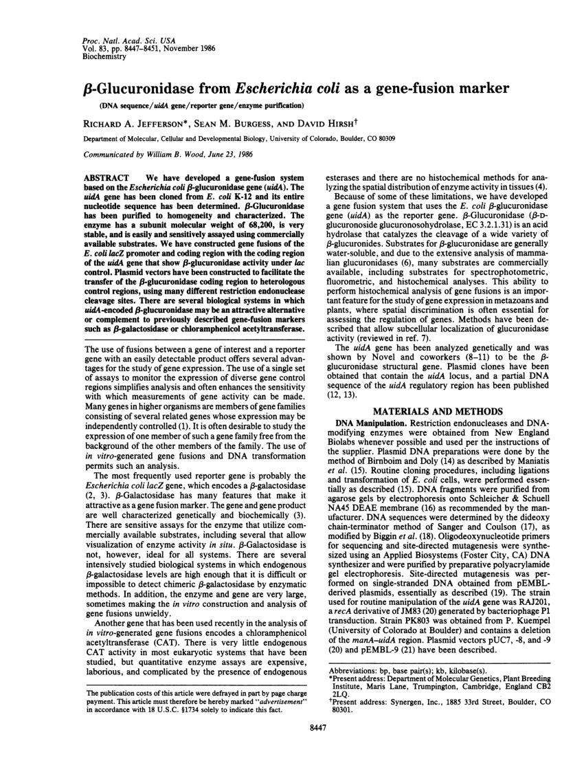 pdf statistische methoden und pc einsatz 1988
