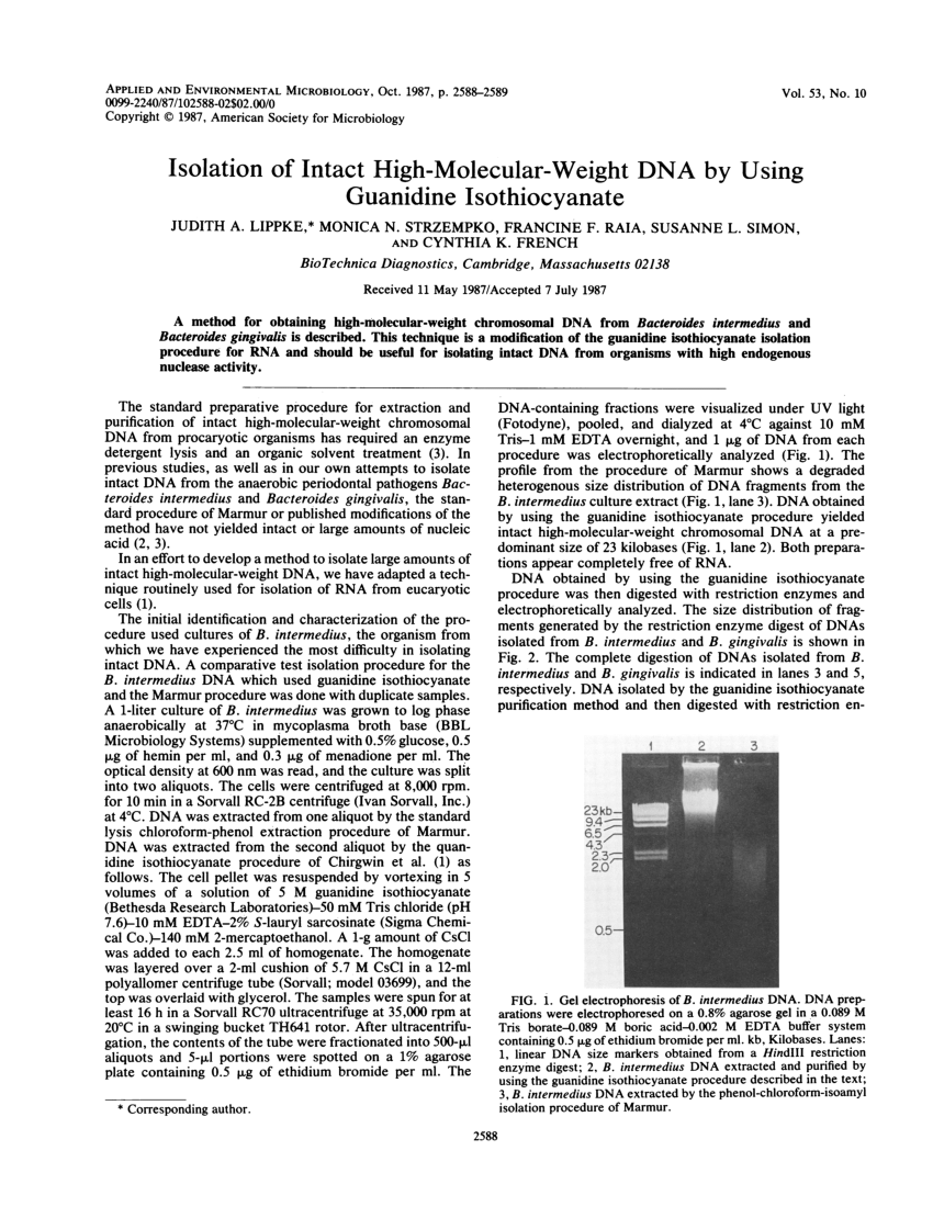 Pdf Isolation Of Intact High Molecular Weight Dna By Using Guanidine Isothiocyanate