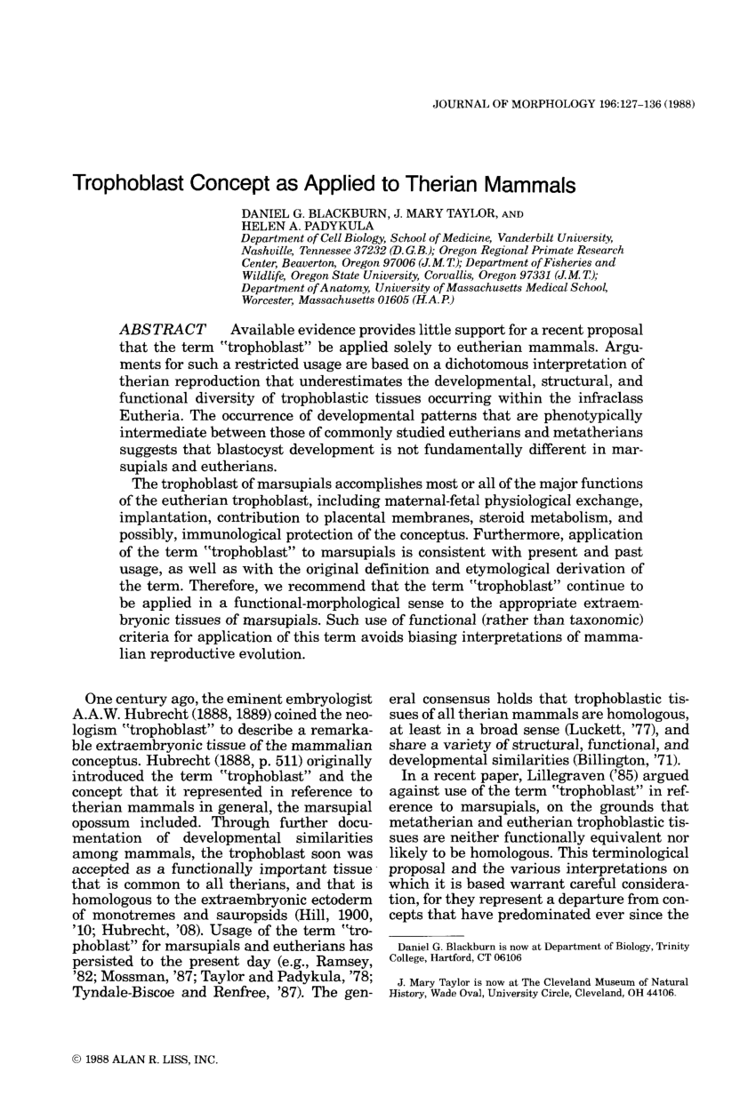 (PDF) Trophoblast concept as applied to therian mammals