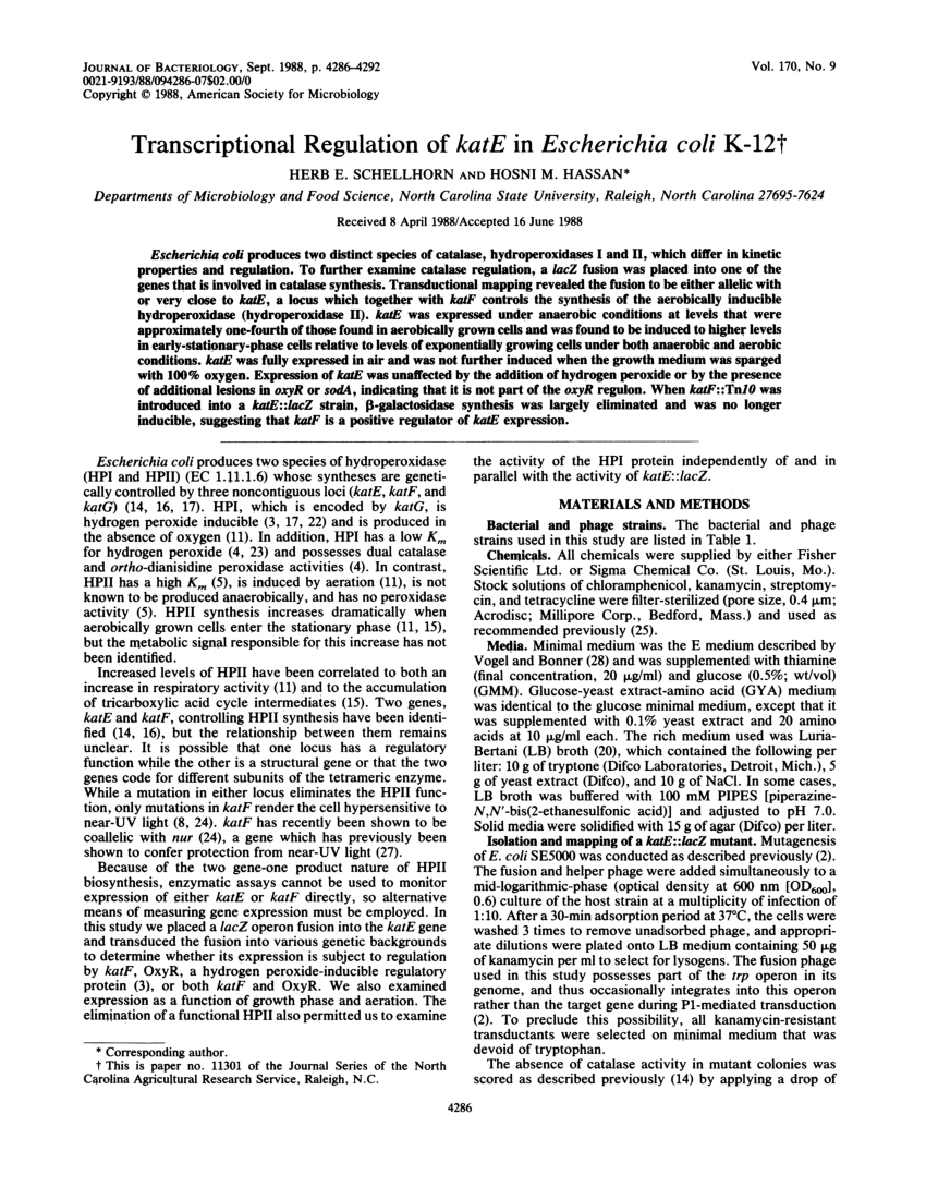 PDF Transcriptional regulation of katE in Escherichia coli K 12