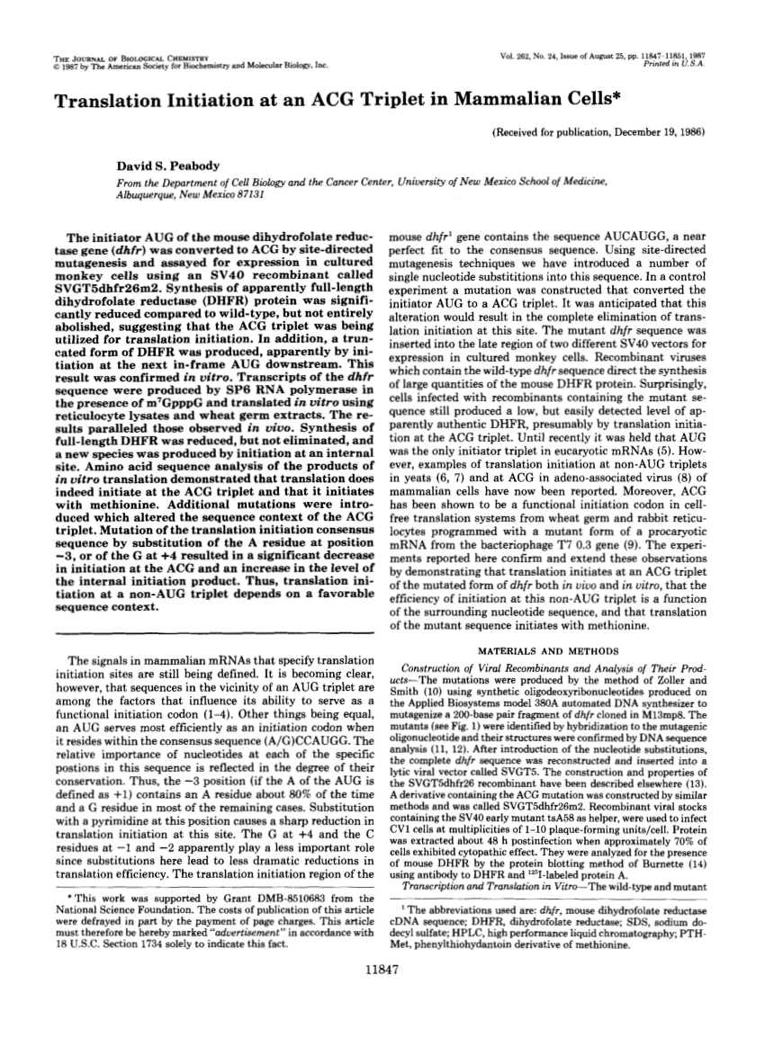 (PDF) Translation initiation at an ACG triplet in mammalian cells