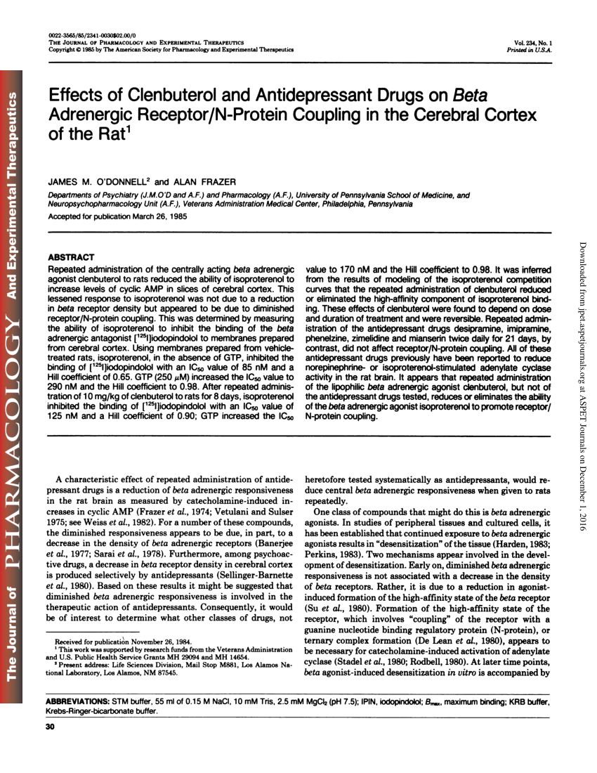 Pdf Effects Of Clenbuterol And Antidepressant Drugs On Beta Adrenergic Receptor N Protein Coupling In The Cerebral Cortex Of The Rat