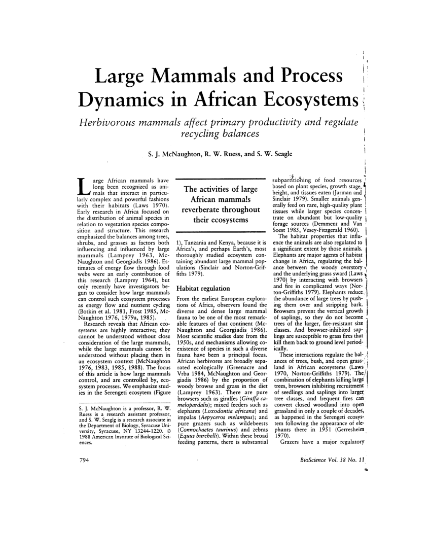 (PDF) Large Mammals and Process Dynamics in African Ecosystems