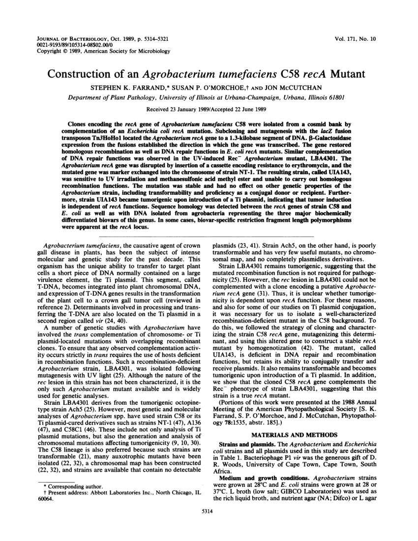 PDF) Construction of an Agrobacterium tumefaciens C58 recA mutant