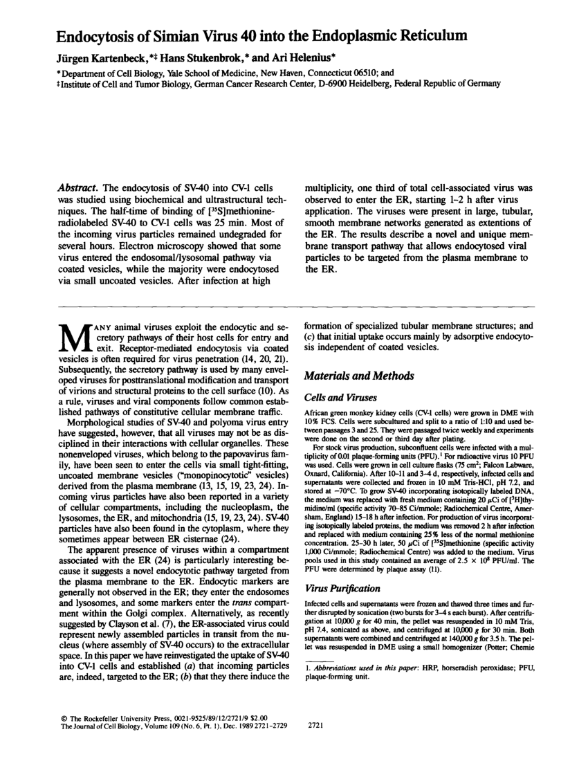 PDF) Endocytosis of simian virus 40 