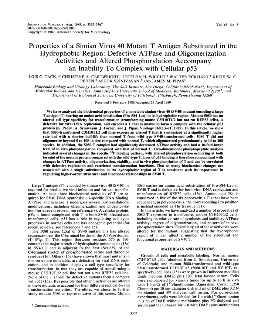 (PDF) Properties of a simian virus 40 mutant T antigen substituted in