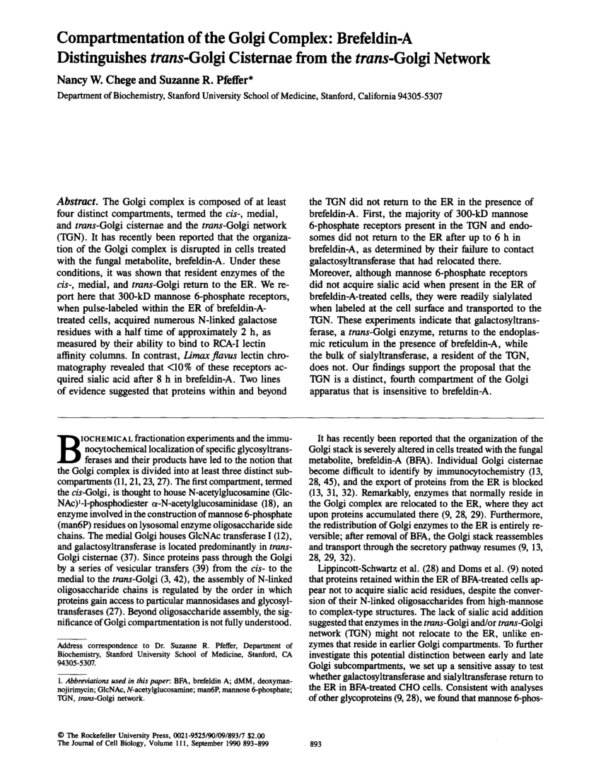 CIS-EM Online Tests