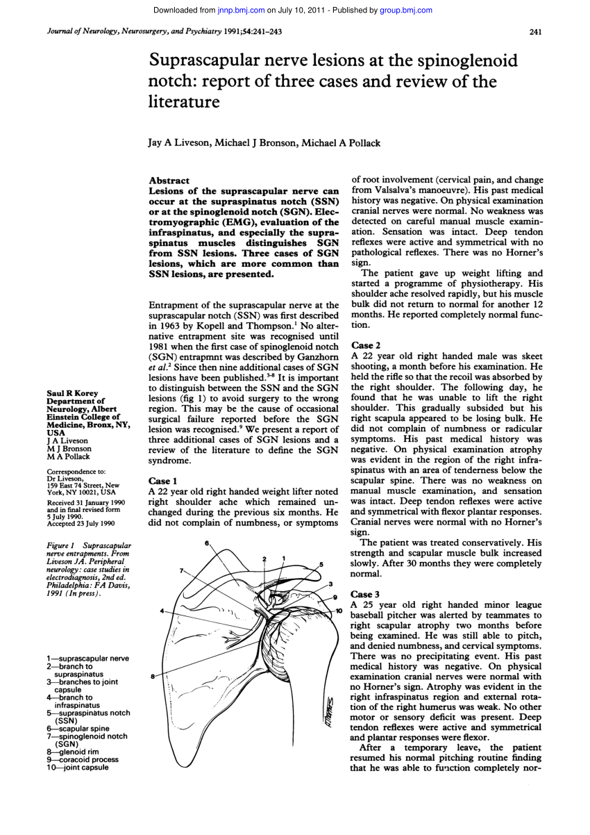 Pdf Suprascapular Nerve Lesions At The Spinoglenoid Notch Report Of Three Cases And Review Of