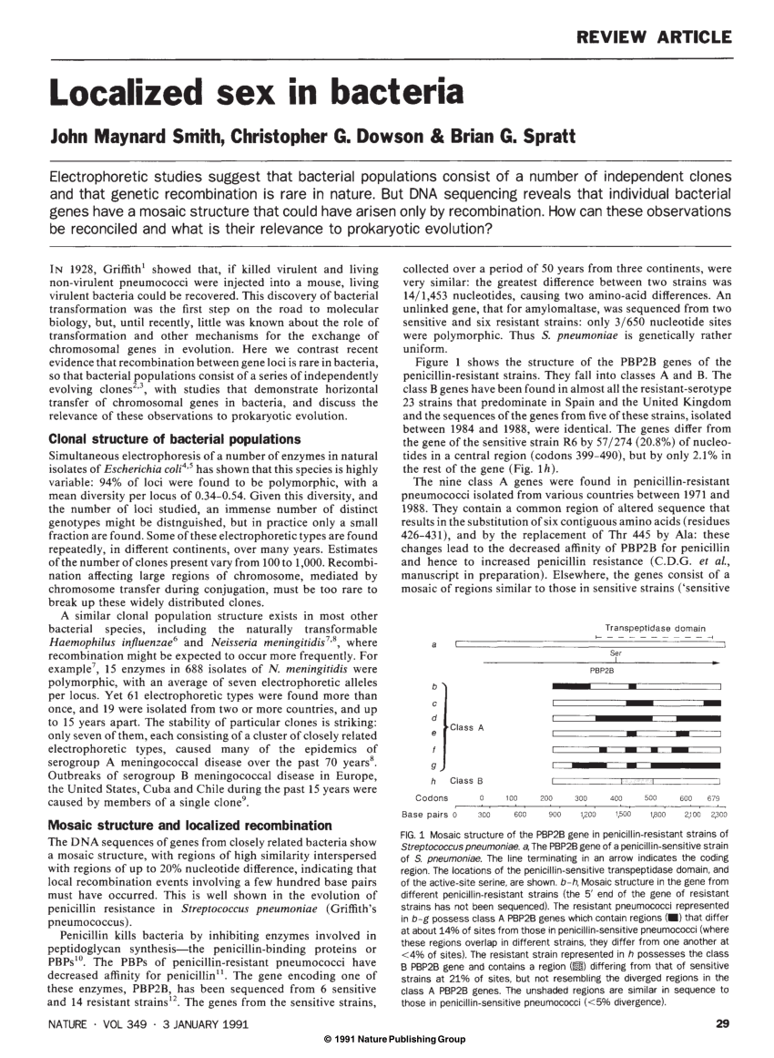 Pdf Localized Sex In Bacteria