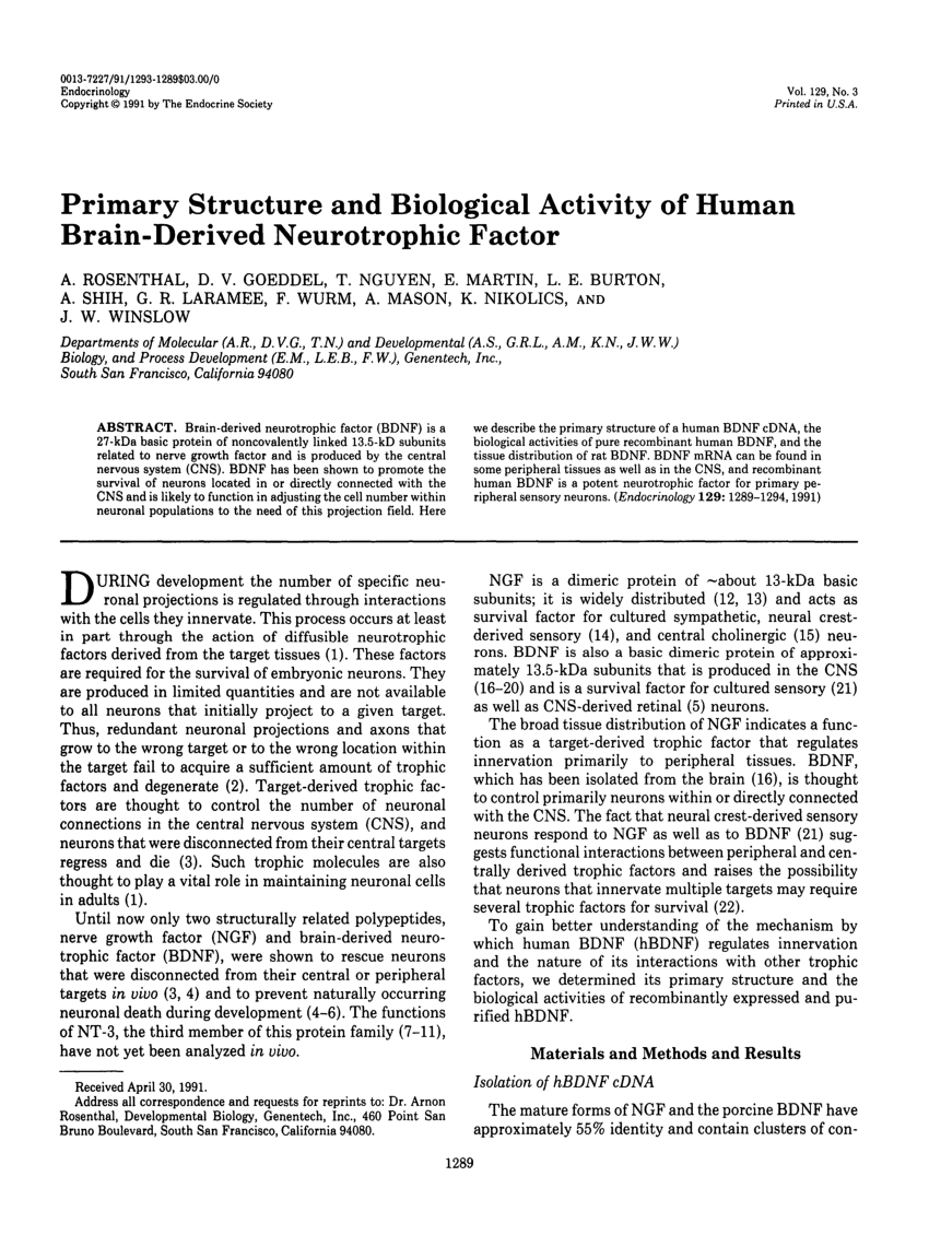 Pdf Primary Structure And Biological Activity Of Human Brain Derived Neurotrophic Factor