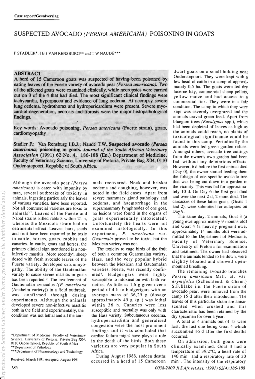 https://i1.rgstatic.net/publication/21384288_Suspected_avocado_Persea_americana_poisoning_in_goats/links/5eaa33a192851cb26766577d/largepreview.png