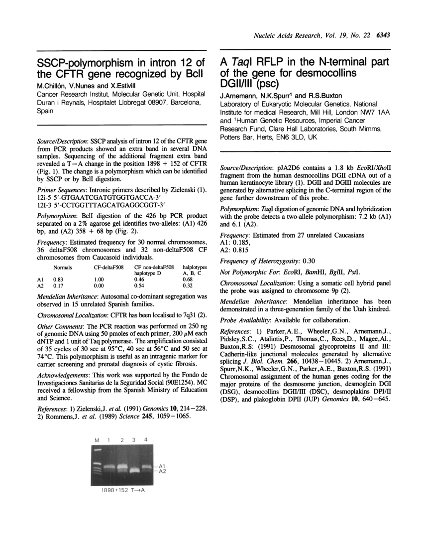 Latest SSCP Test Voucher