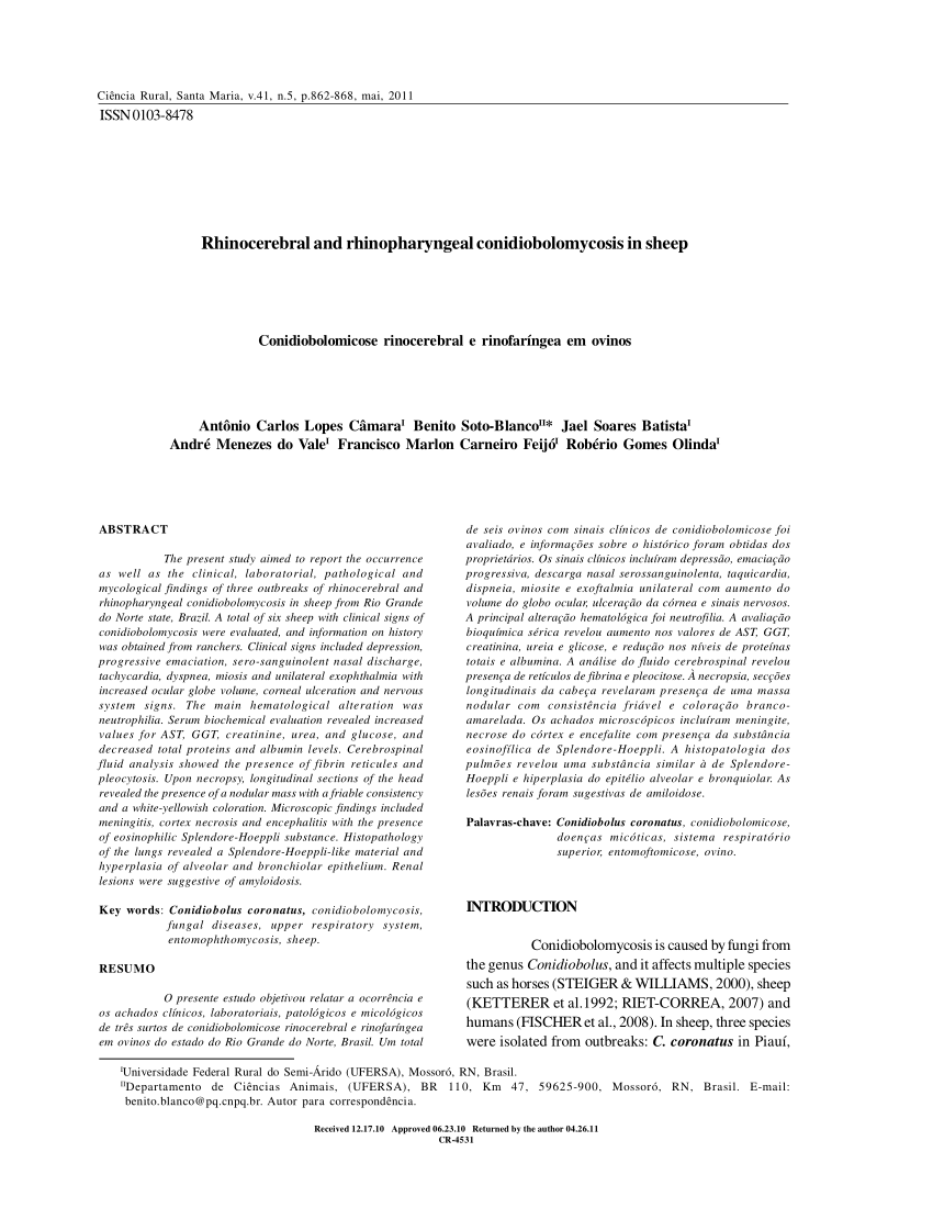 Pdf Rhinocerebral And Rhinopharyngeal Conidiobolomycosis In Sheep