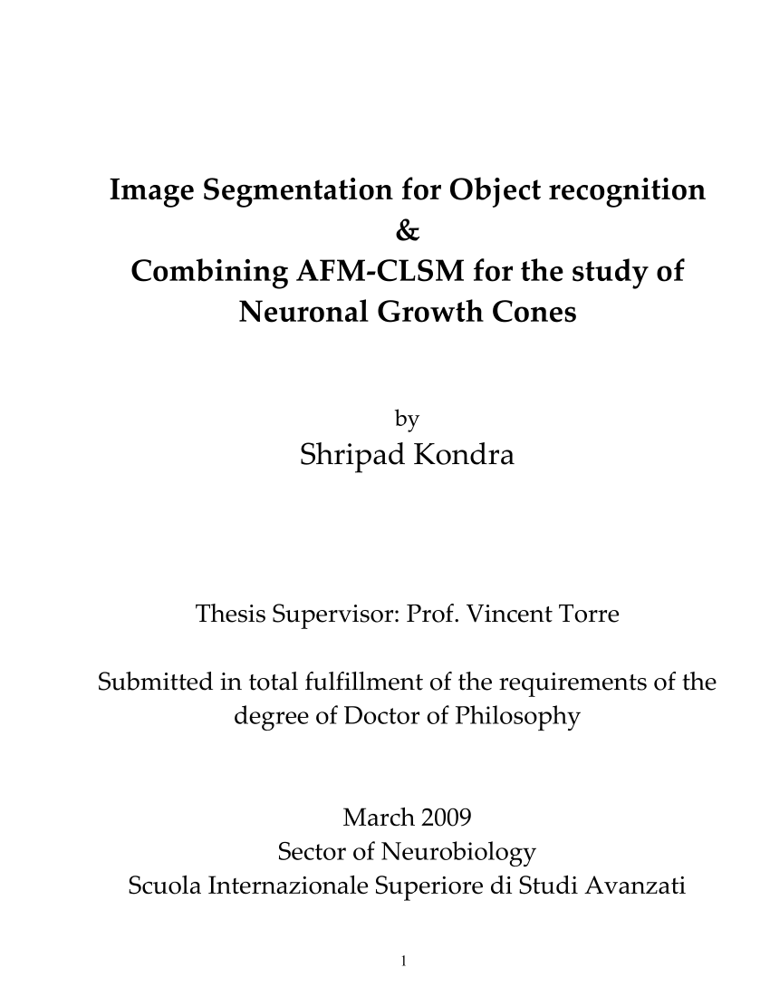 PDF) Image Segmentation and Multi-modal Study of Neuronal Growth ...