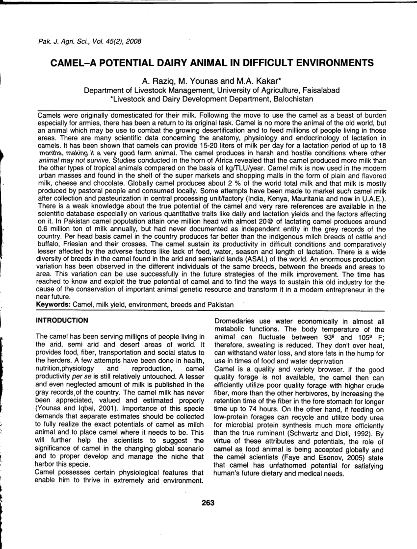 Pdf Camel A Potential Dairy Animal In Difficult Environments