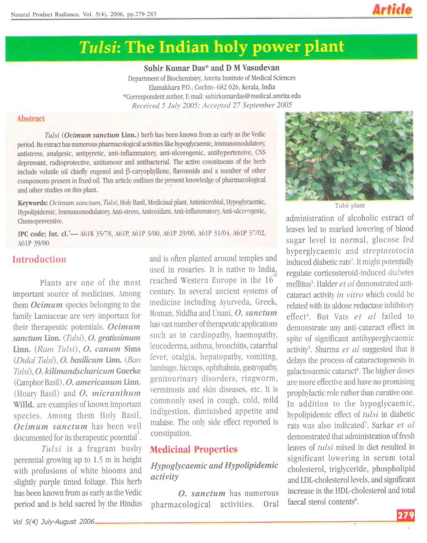 tulsi plant information