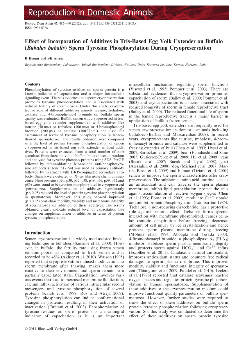 PDF) Effect of Incorporation of Additives in Tris-Based Egg Yolk Extender  on Buffalo (Bubalus bubalis) Sperm Tyrosine Phosphorylation During  Cryopreservation