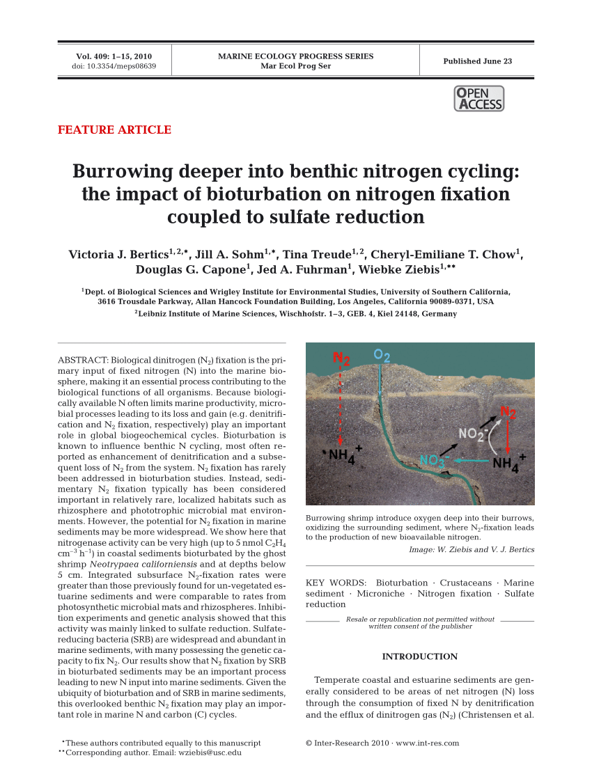 PDF) Burrowing deeper into benthic nitrogen cycling: The impact of  Bioturbation on nitrogen fixation coupled to sulfate reduction