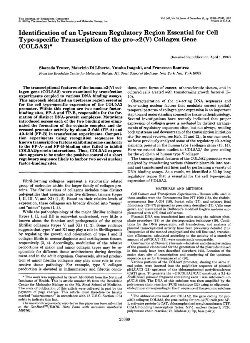 Essential Gene Review Pdf