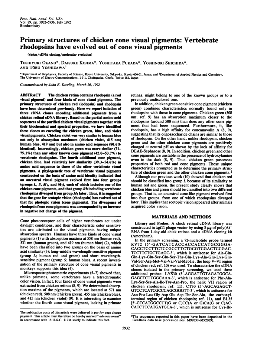 (PDF) Primary Structures of Chicken Cone Visual Pigments: Vertebrate