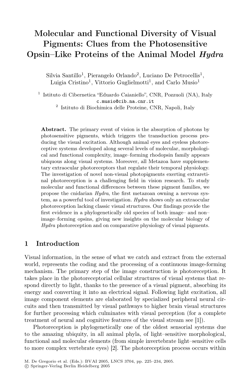 (PDF) Molecular and Functional Diversity of Visual Pigments: Clues from