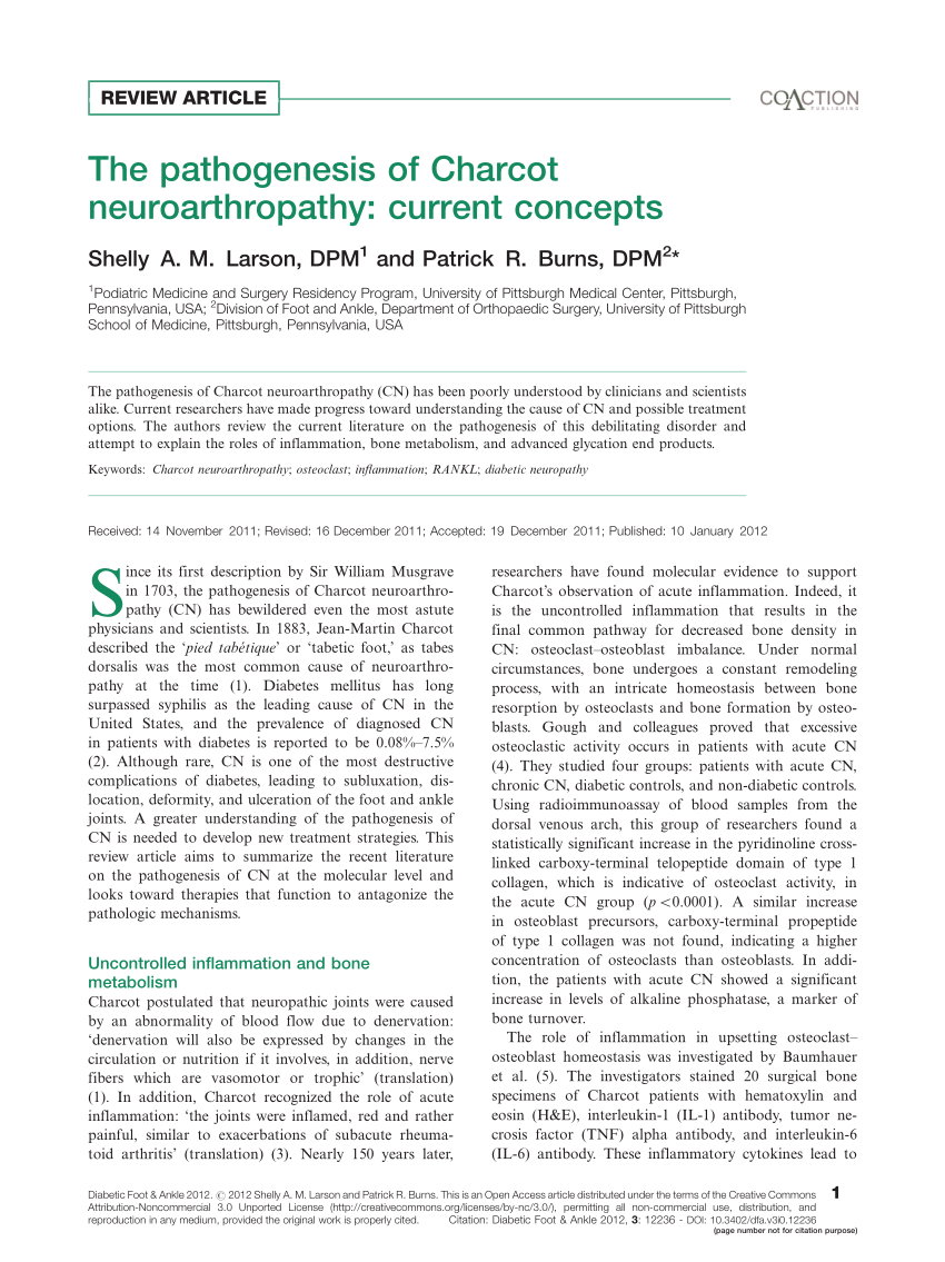 The Role Of Rankl In Charcot Neuroarthropathy Download Scientific Diagram