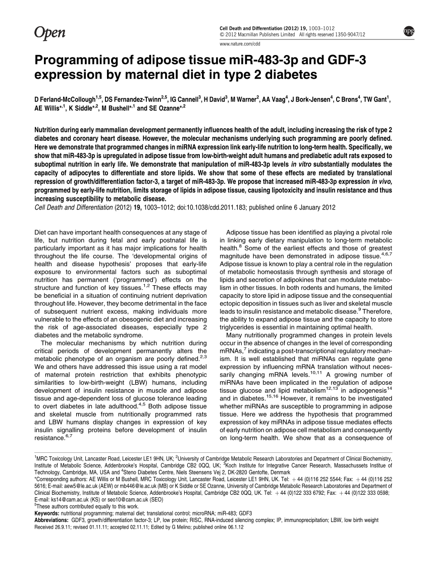 The Key Regulation Of Mir1243p During Reprogramming Of