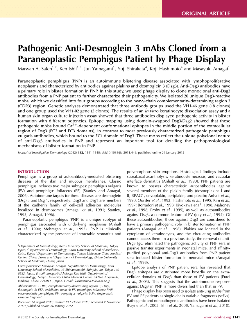 Pdf Pathogenic Anti Desmoglein 3 Mabs Cloned From A Paraneoplastic Pemphigus Patient By Phage 4766
