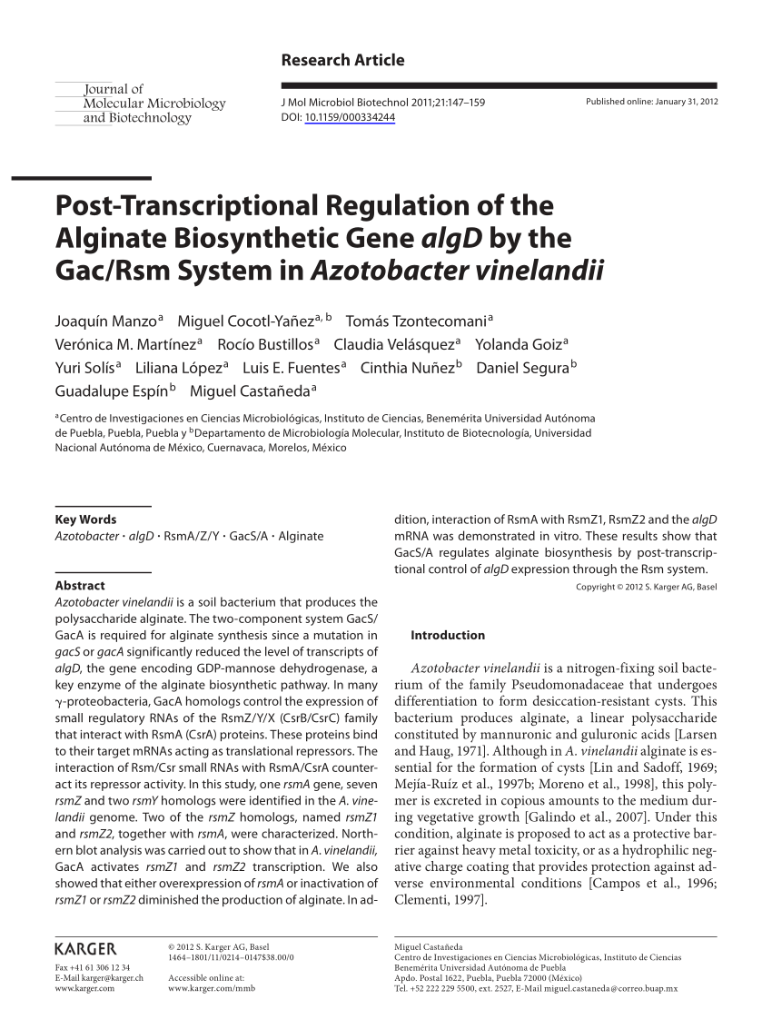 Pdf Post Transcriptional Regulation Of The Alginate Biosynthetic Gene Algd By The Gac Rsm System In Azotobacter Vinelandii