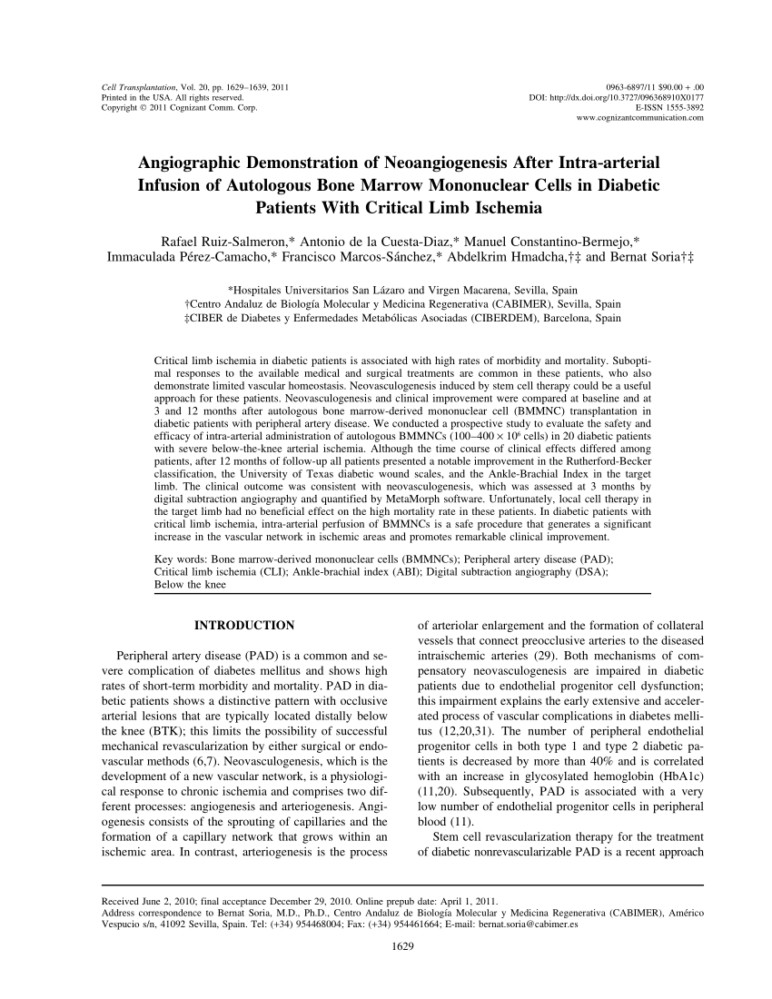PDF) Angiographic Demonstration of Neoangiogenesis After Intra ...