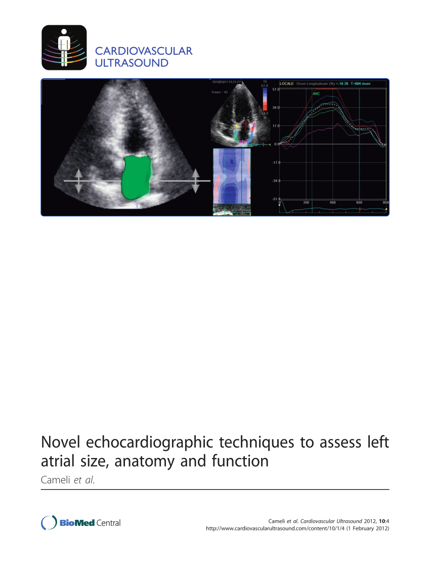 PDF) Novel echocardiographic techniques to assess left atrial size ...