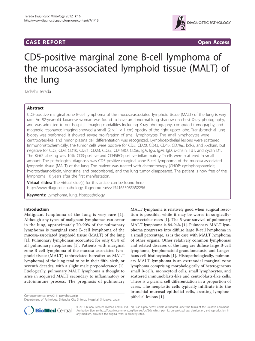 Pdf Cd5 Positive Marginal Zone B Cell Lymphoma Of The Mucosa