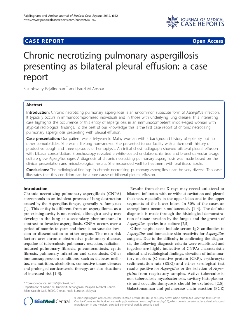 Pdf Chronic Necrotizing Pulmonary Aspergillosis Presenting As Bilateral Pleural Effusion A